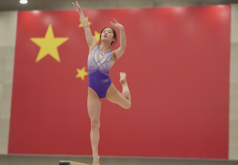 问鼎群雄，传承与创新